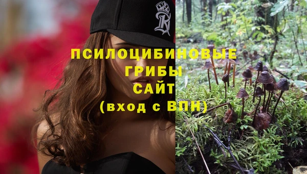 стафф Армянск